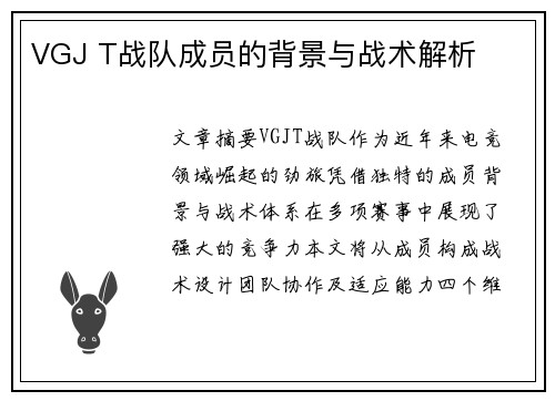 VGJ T战队成员的背景与战术解析